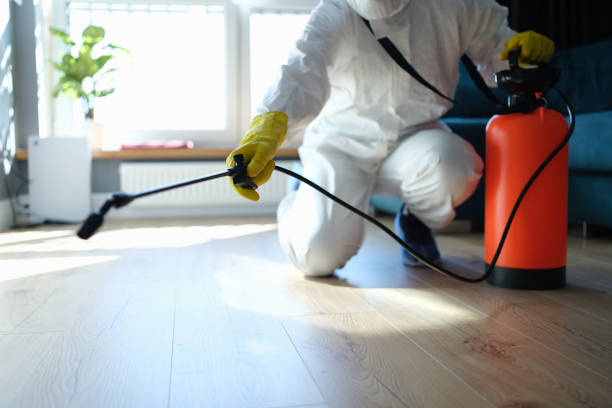 Best Pest Removal Services  in Kelseyville, CA