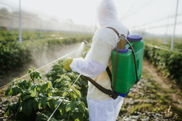 Best Exterminator Services  in Kelseyville, CA